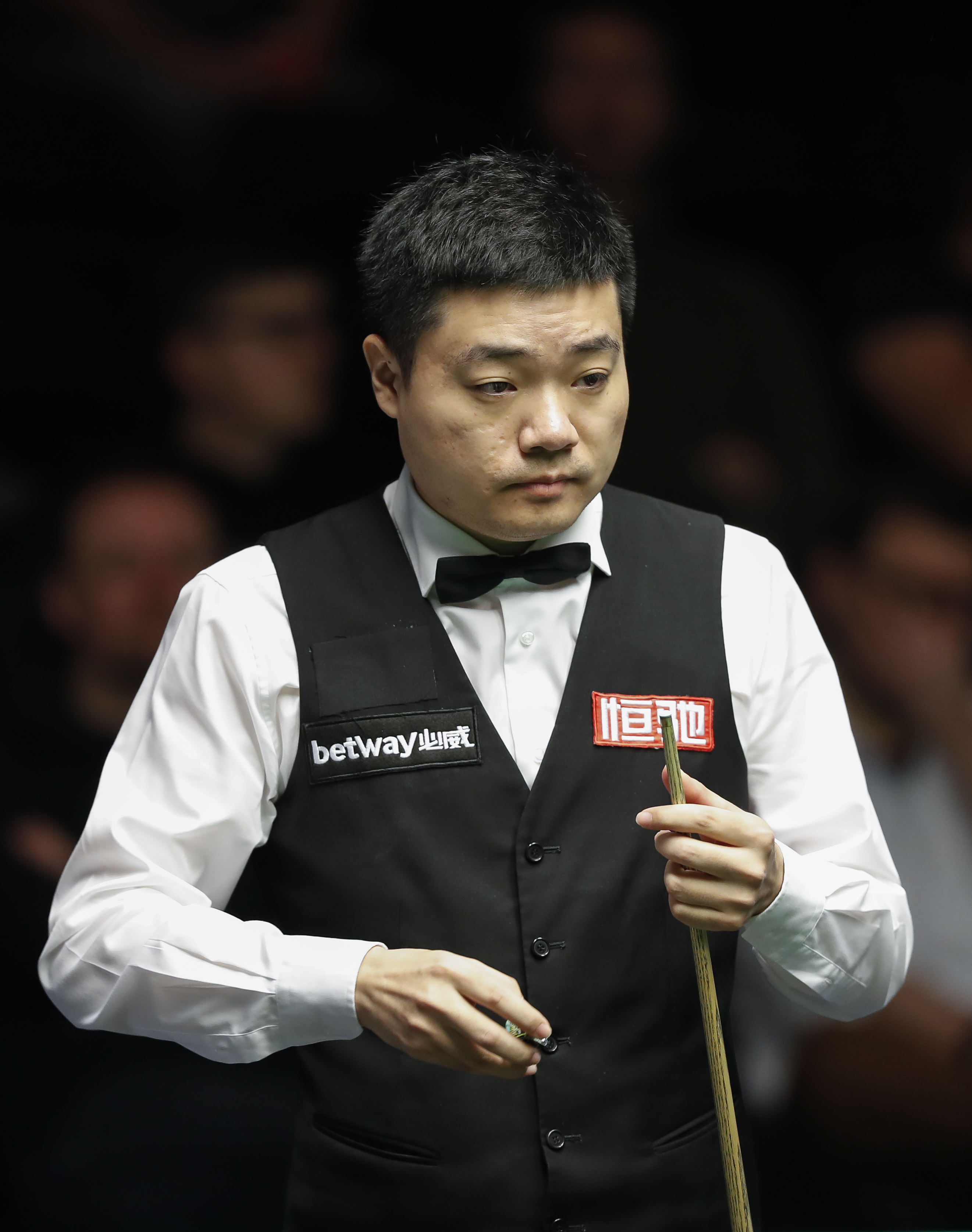 适应新的环 适应新的环